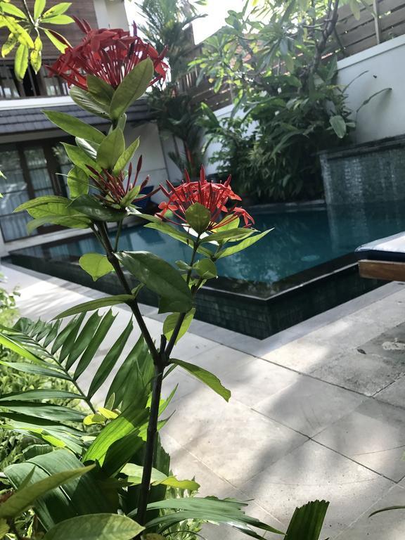 Villa Mudha 3 Sanur Exteriör bild