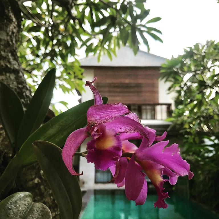 Villa Mudha 3 Sanur Exteriör bild